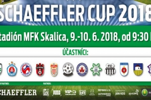 Schaeffler cup v Skalici 2018