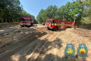 Cvičenie hasičov v náročnom teréne na Záhorí