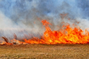Zvýšené nebezpečenstvo vzniku požiarov v okrese Senica