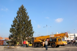 Mestský vianočný strom v Malackách sa bude zdobiť od 30. 11. do 1. 12. 
