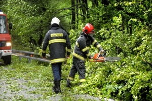 Po búrke zasahovali hasiči zo Senice a DHZ z obcí Borský Mikuláš, Štefanov, Sobotište, Podbranč a Jablonica